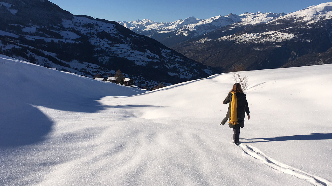 Kommen & Gehen – Zen Triegu